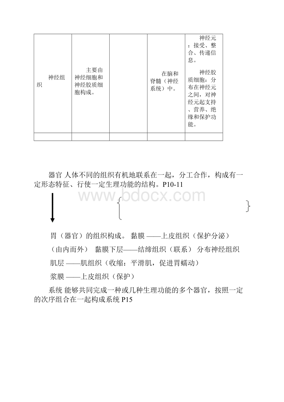 上海初中生命科学学科教学基本要求考点考纲.docx_第3页