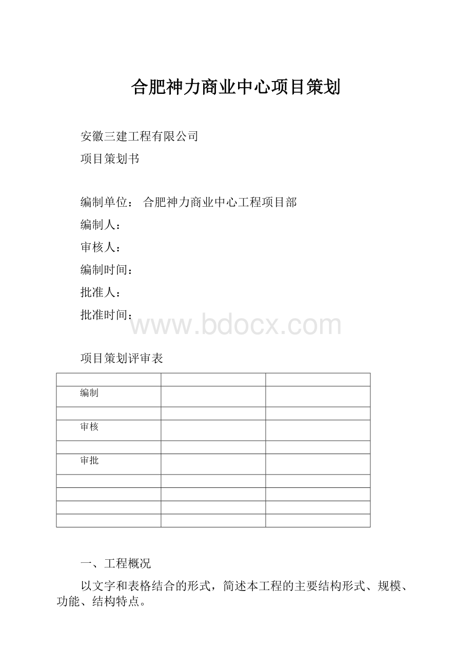 合肥神力商业中心项目策划.docx_第1页