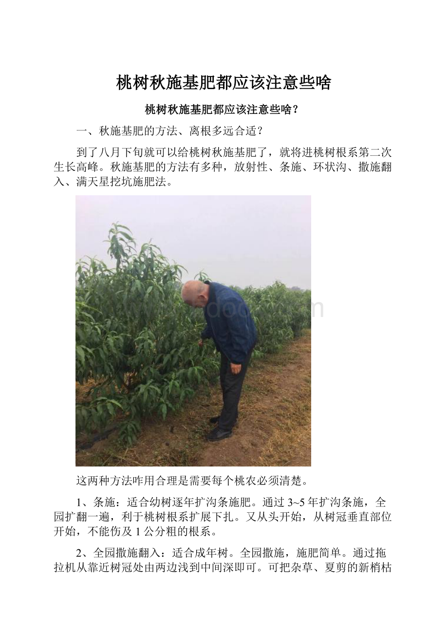 桃树秋施基肥都应该注意些啥.docx