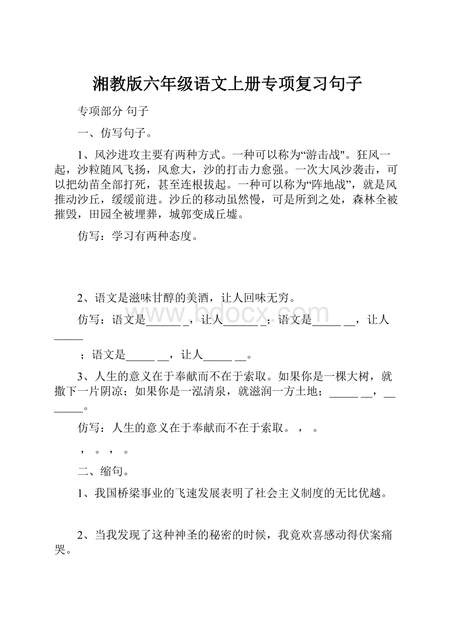 湘教版六年级语文上册专项复习句子.docx