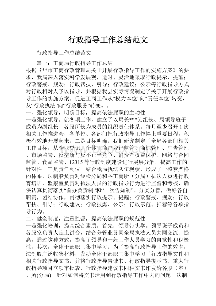 行政指导工作总结范文.docx