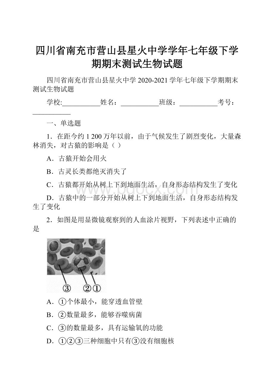 四川省南充市营山县星火中学学年七年级下学期期末测试生物试题.docx