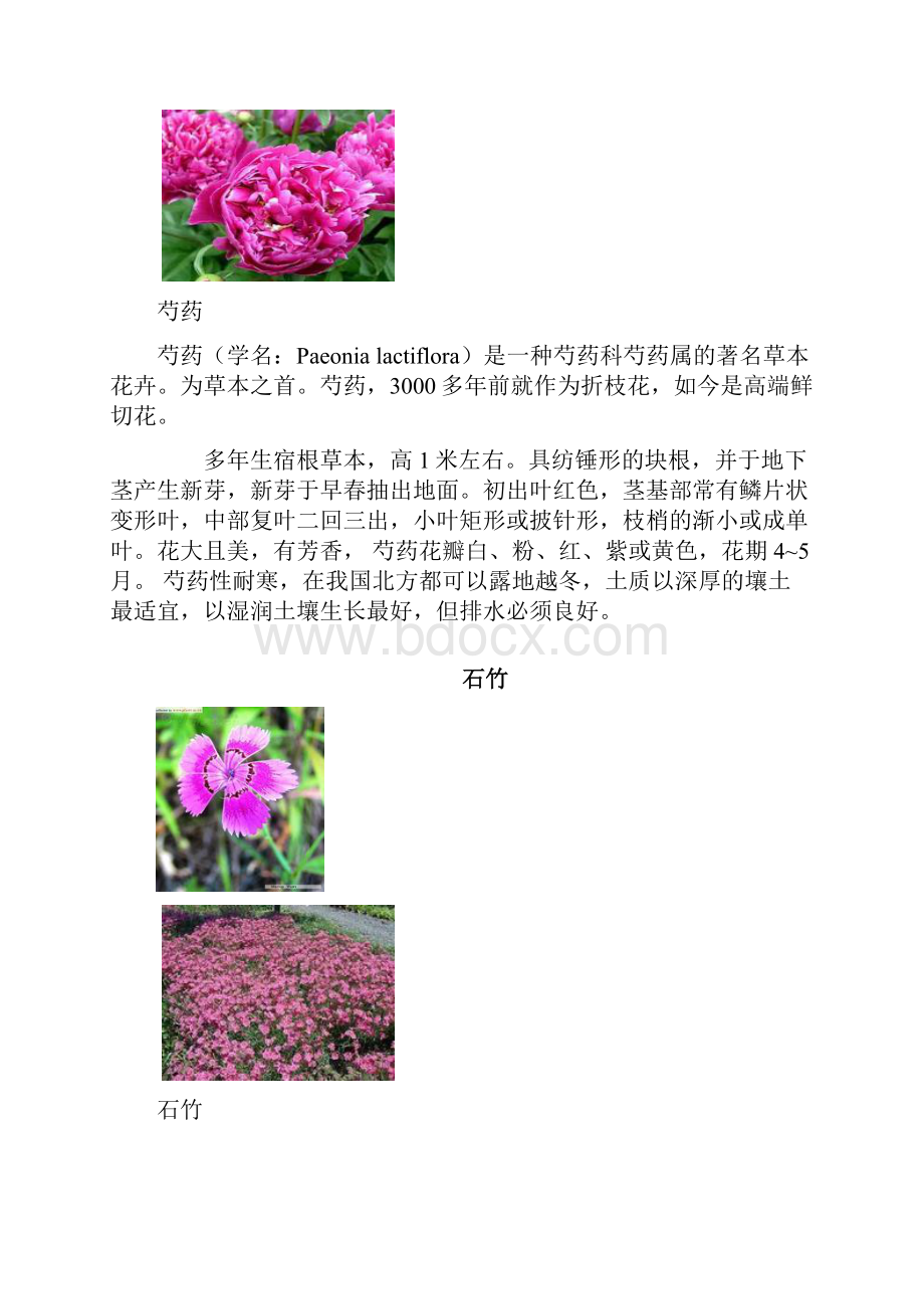 乔灌草植物名列表.docx_第3页