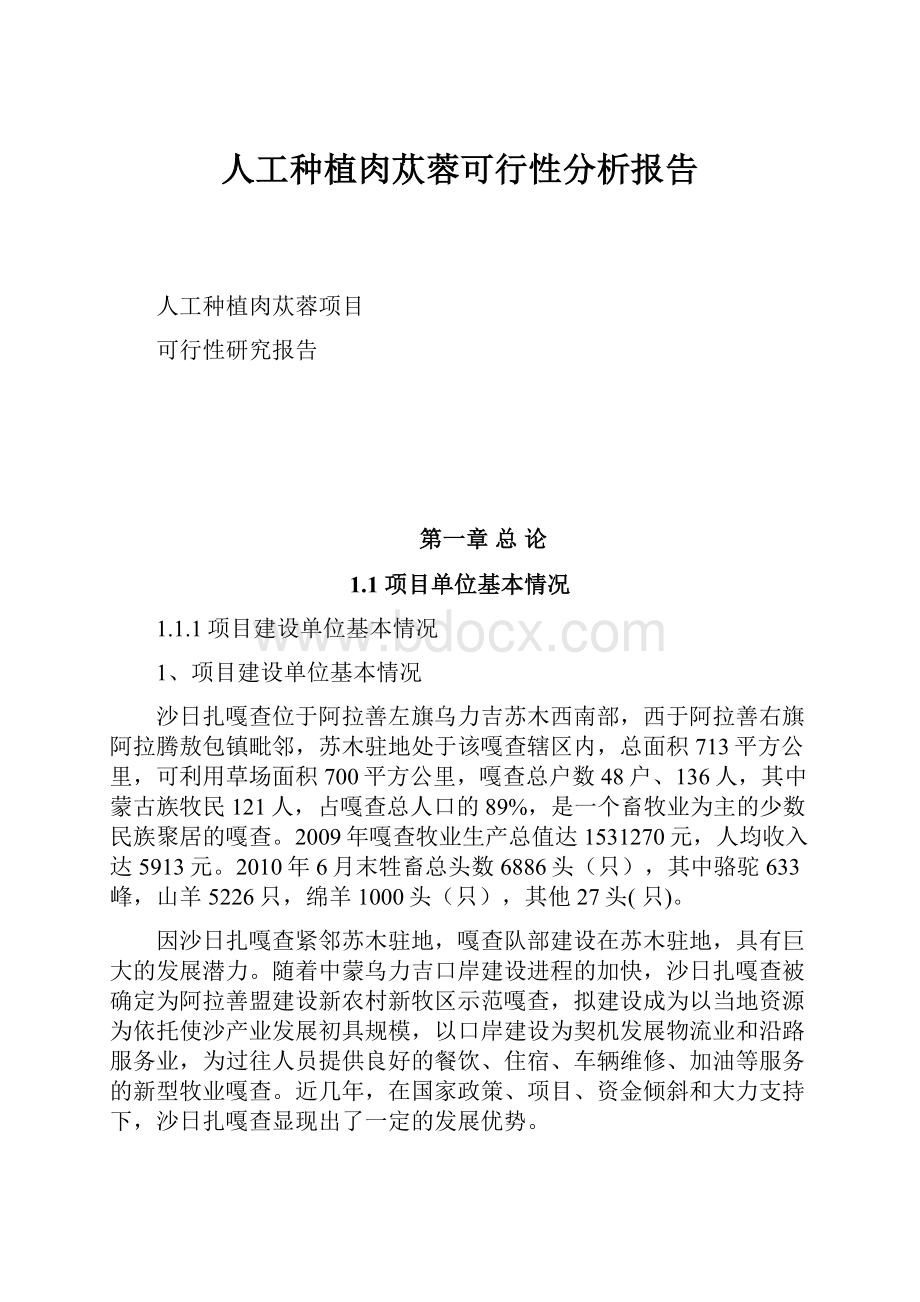 人工种植肉苁蓉可行性分析报告.docx