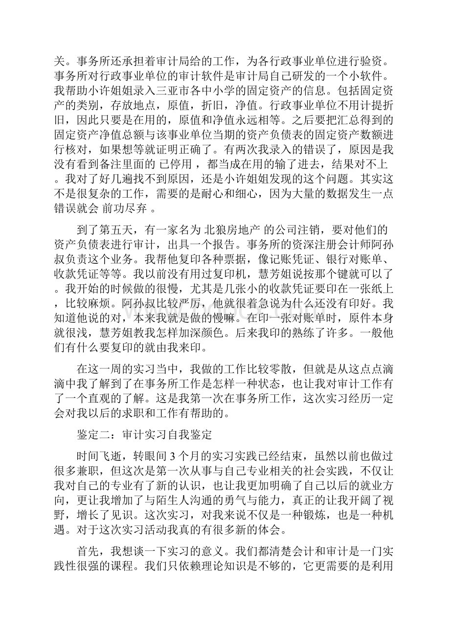 审计实习自我鉴定.docx_第3页