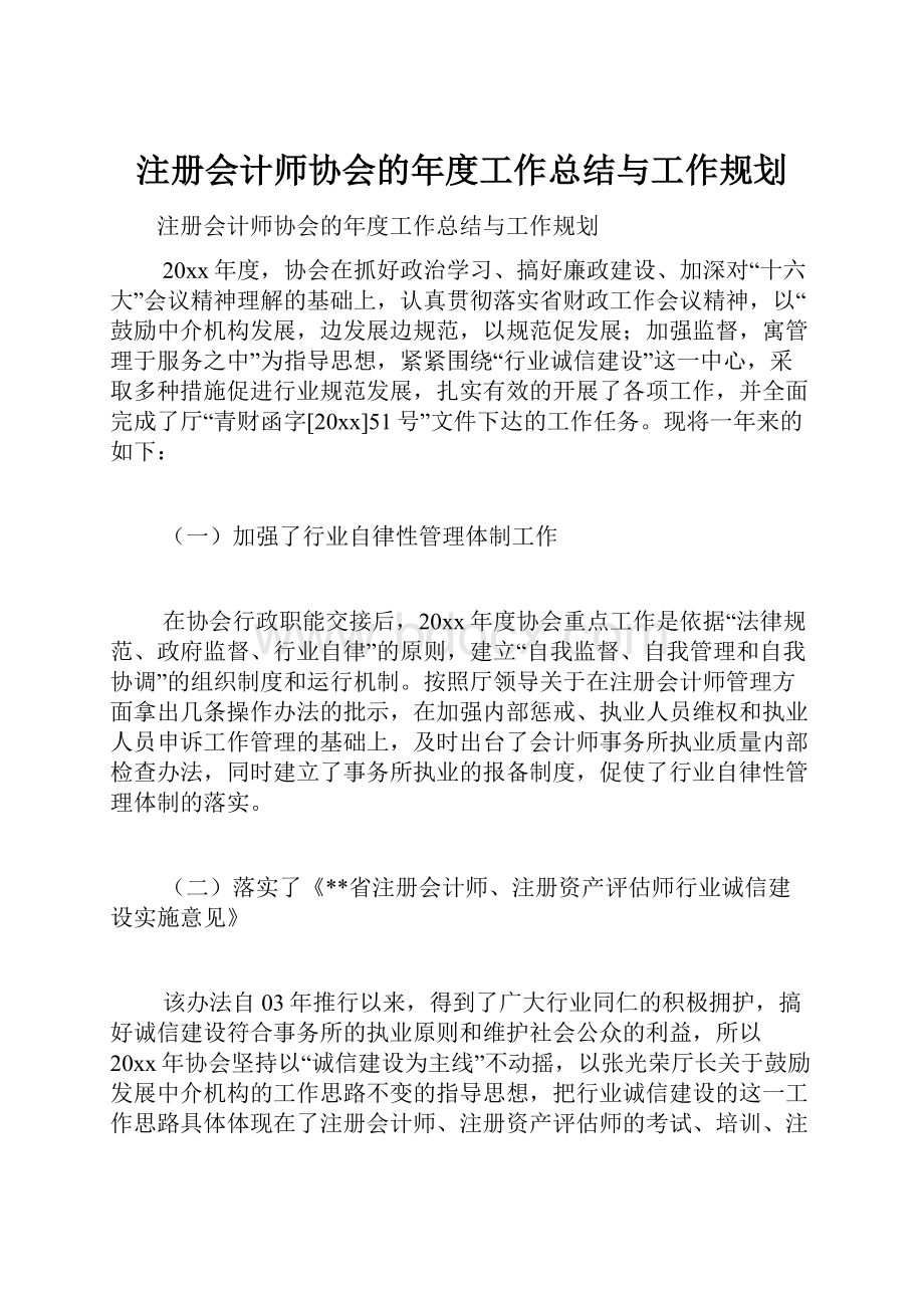 注册会计师协会的年度工作总结与工作规划.docx_第1页