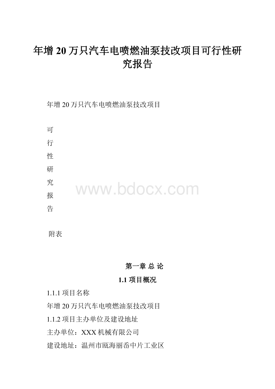 年增20万只汽车电喷燃油泵技改项目可行性研究报告.docx