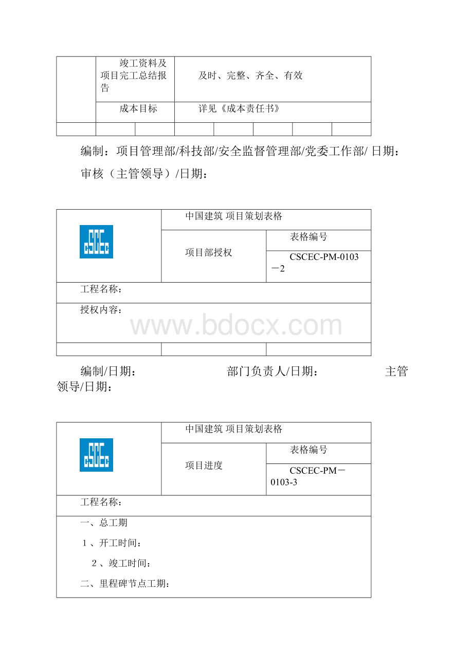 项目策划表格.docx_第2页