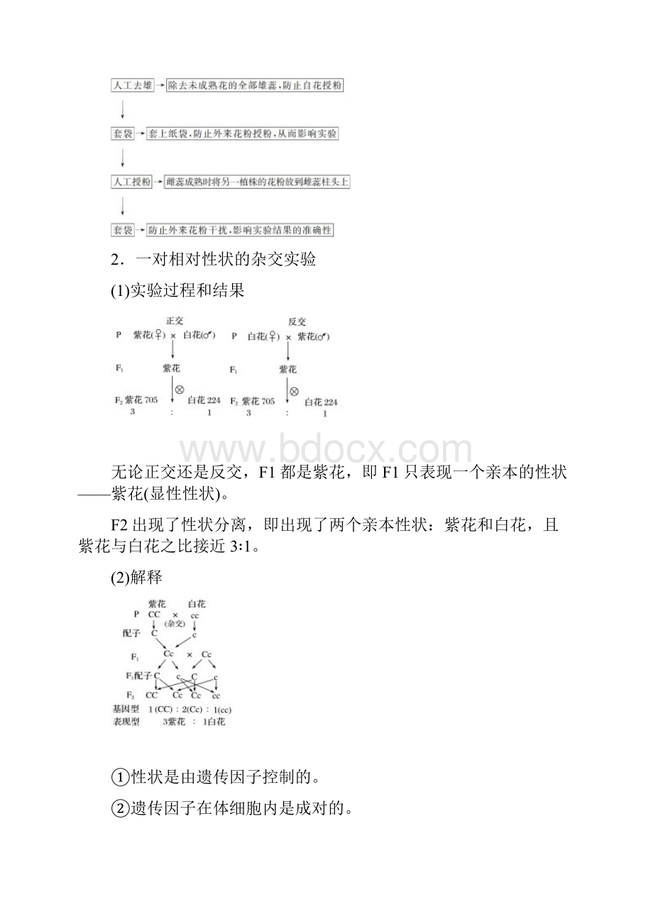 版浙江学业水平考试生物 专题六孟德尔定律.docx_第2页