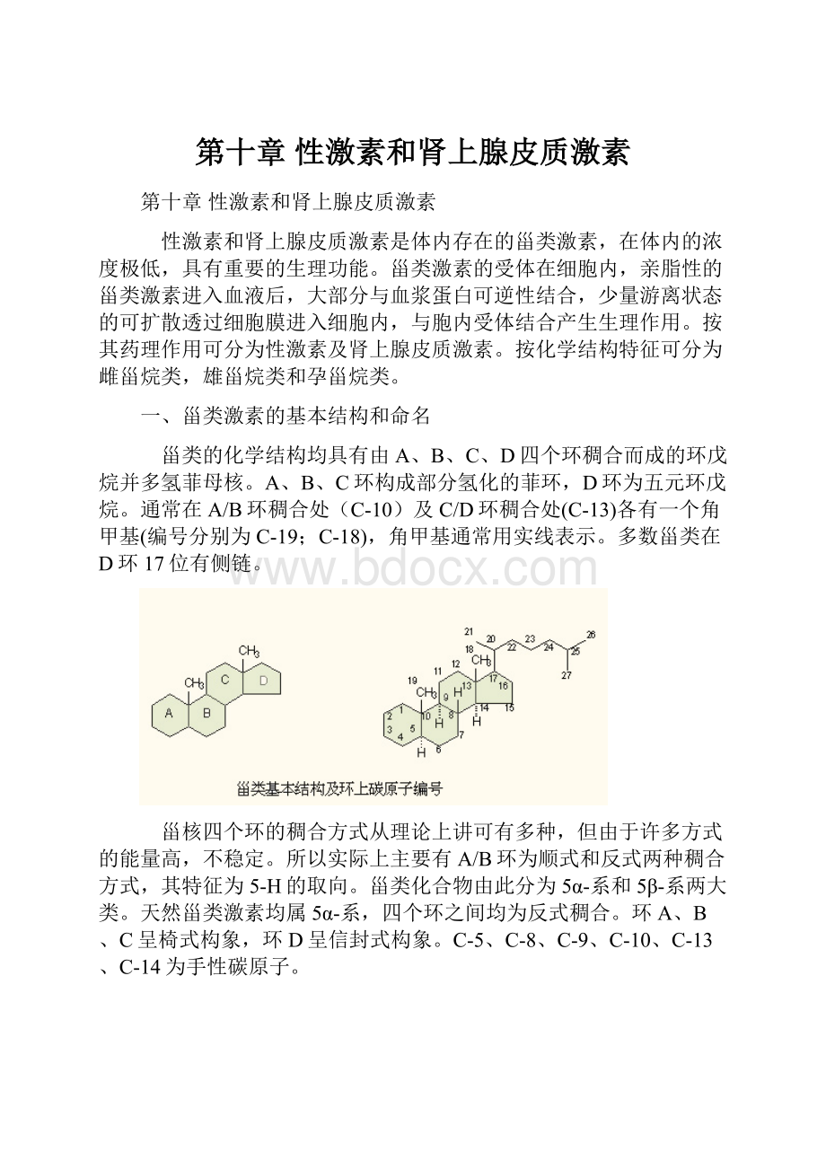 第十章 性激素和肾上腺皮质激素.docx