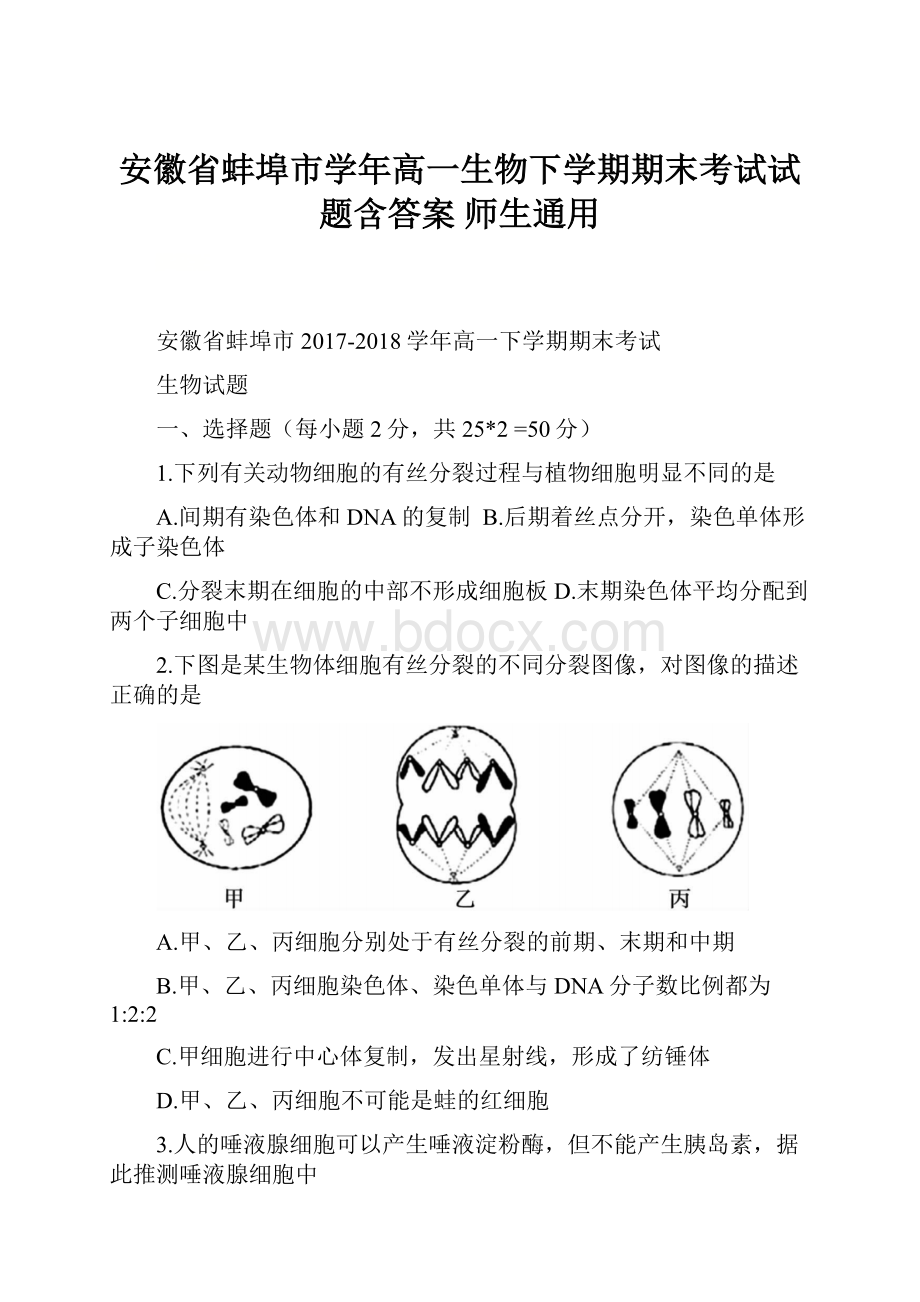 安徽省蚌埠市学年高一生物下学期期末考试试题含答案 师生通用.docx