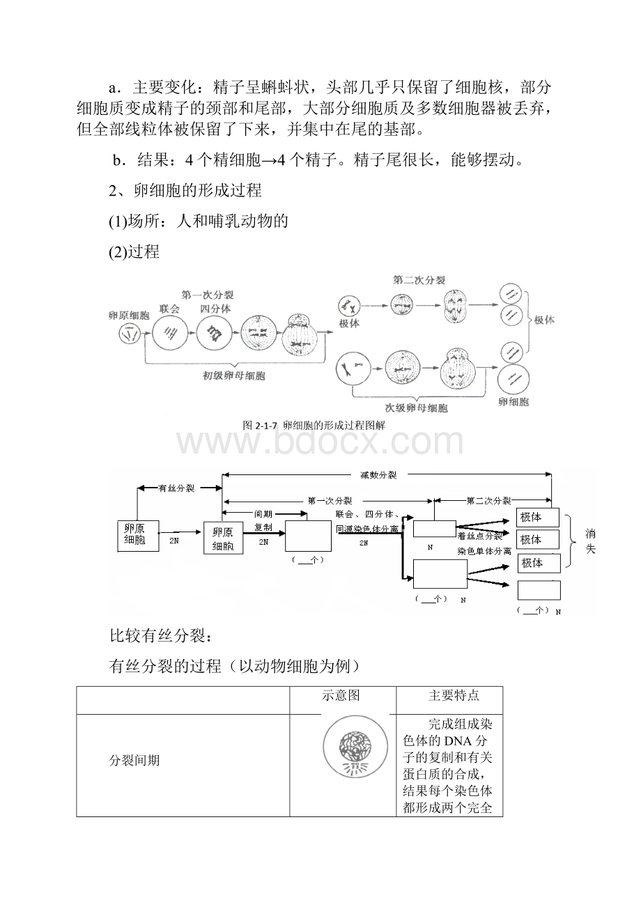 课时一第1节减数分裂和受精作用学案 2.docx_第3页