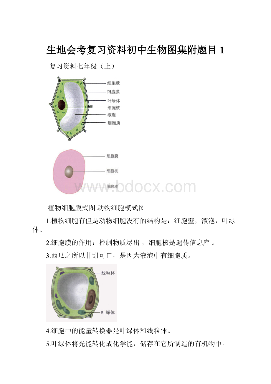 生地会考复习资料初中生物图集附题目1.docx_第1页