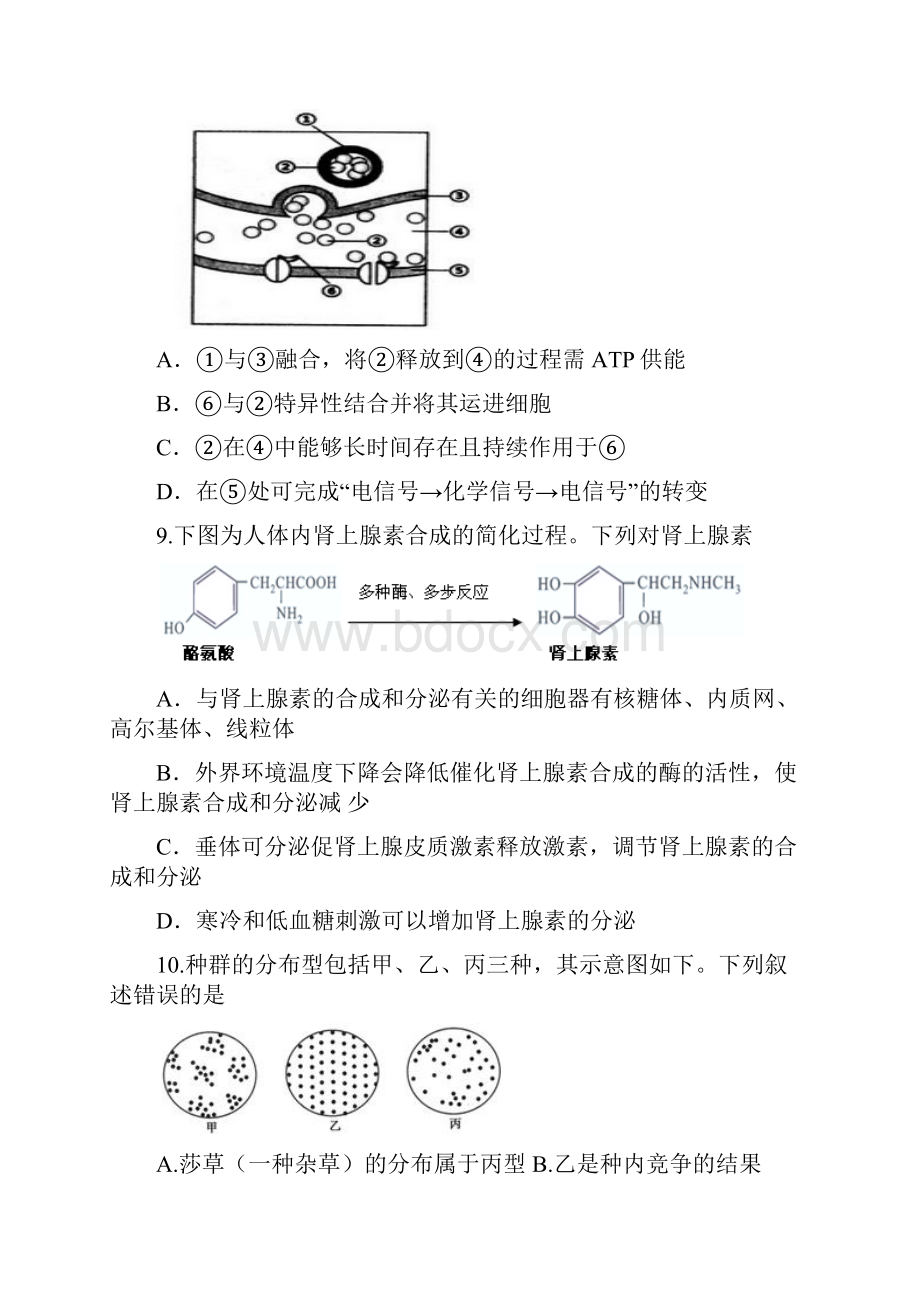 贵州省贵阳市学年高一生物下册月考试题.docx_第3页