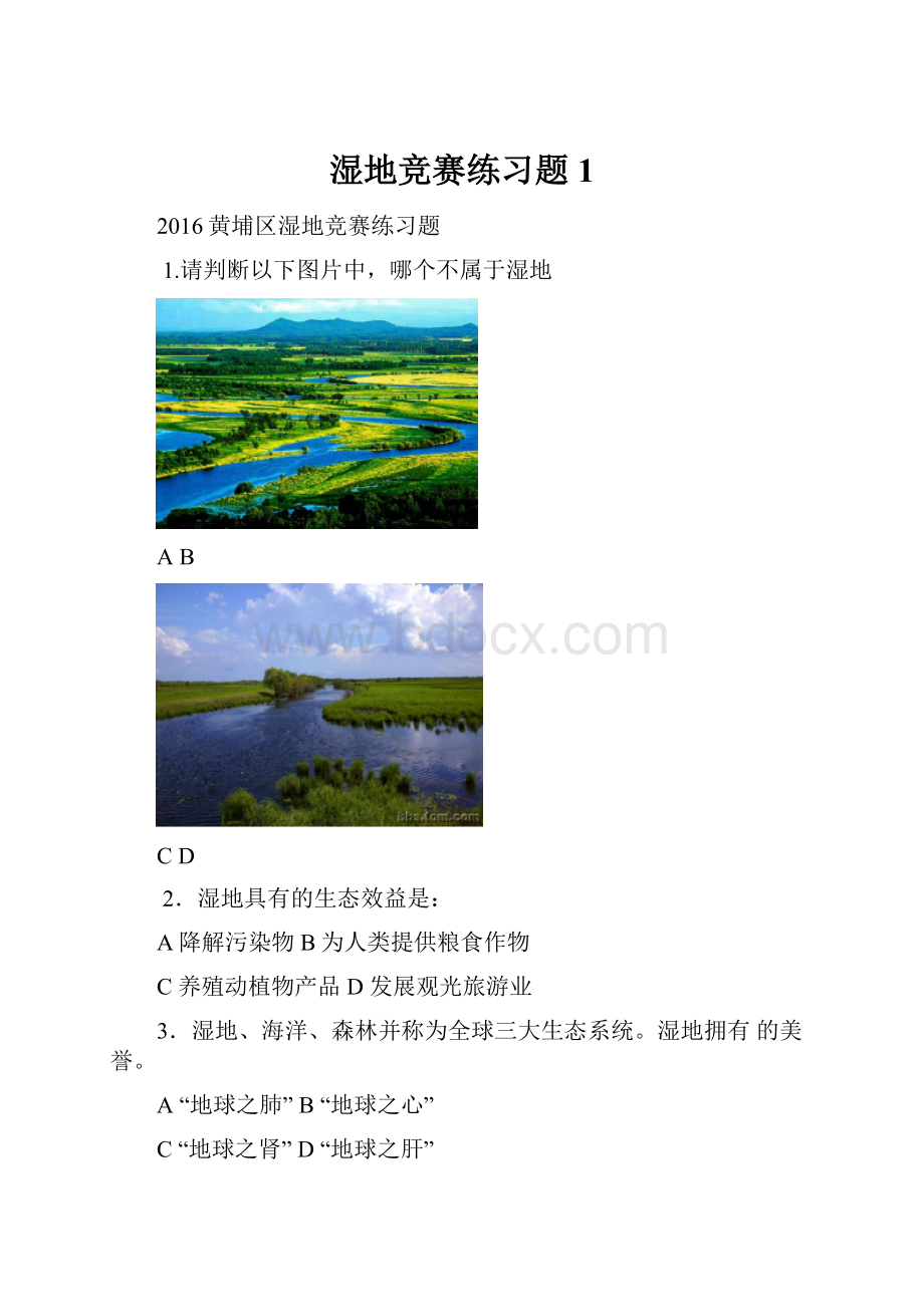 湿地竞赛练习题 1.docx_第1页