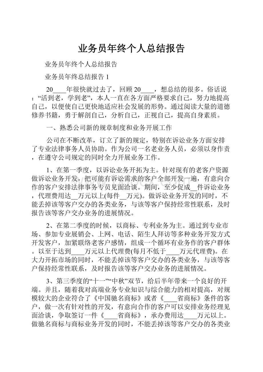 业务员年终个人总结报告.docx_第1页