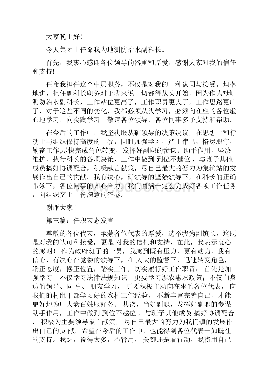 任职时的表态发言.docx_第2页