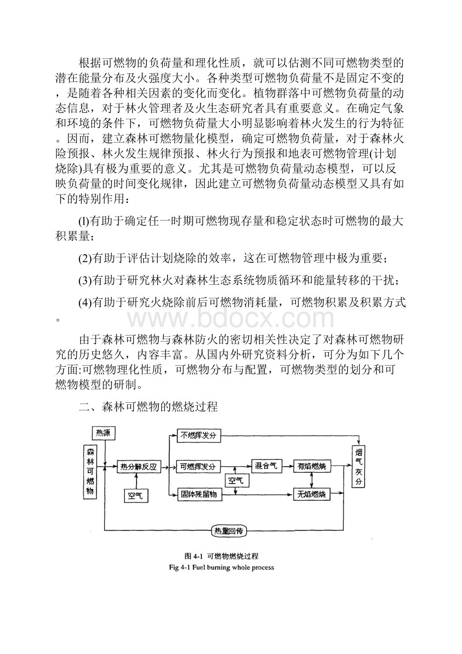 森林可燃物3.docx_第2页