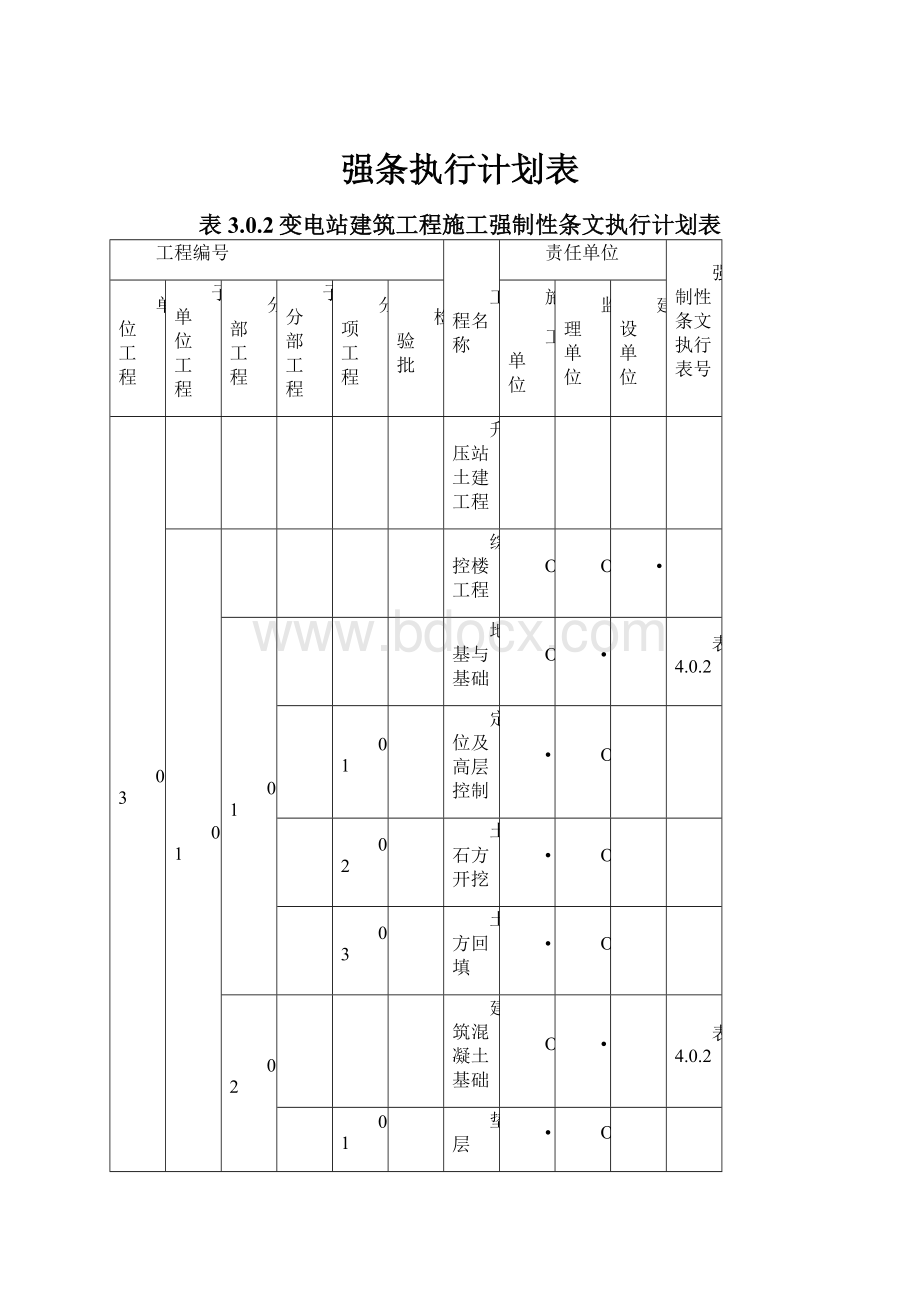 强条执行计划表.docx_第1页