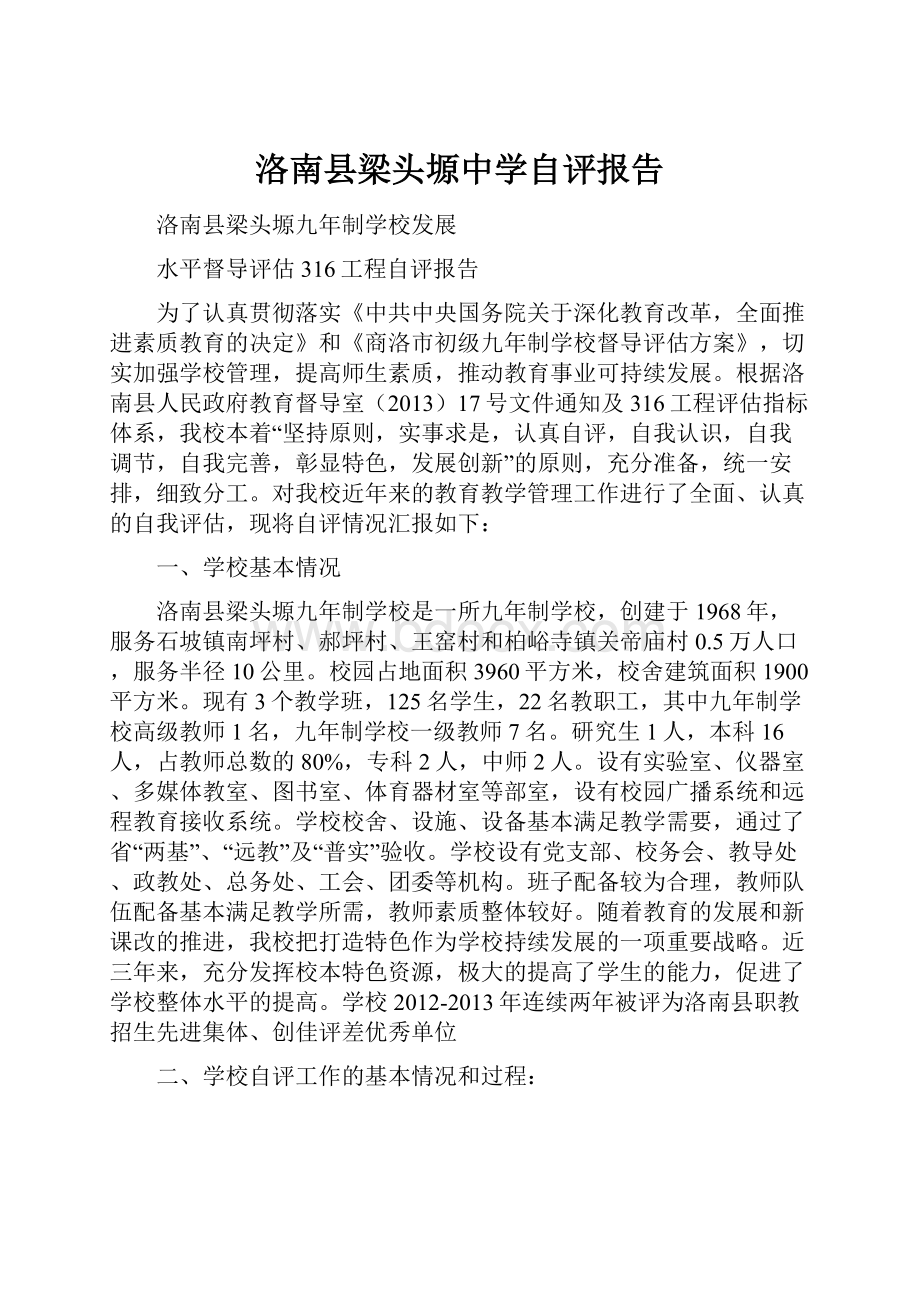 洛南县梁头塬中学自评报告.docx_第1页