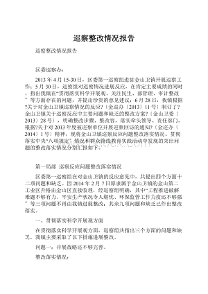 巡察整改情况报告.docx