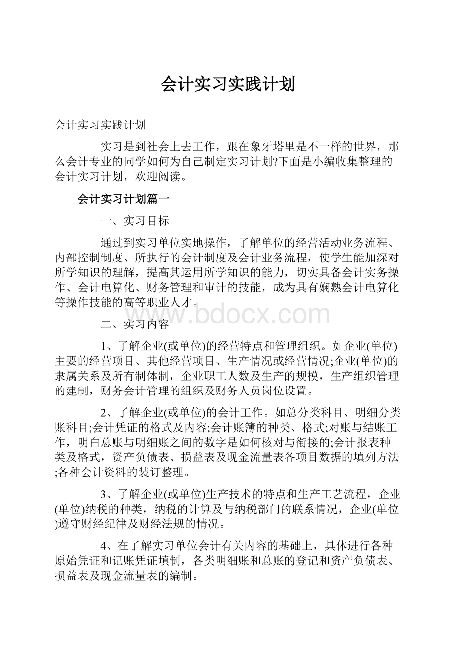 会计实习实践计划.docx