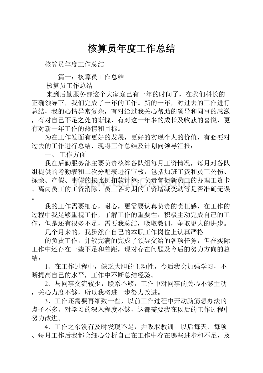 核算员年度工作总结.docx