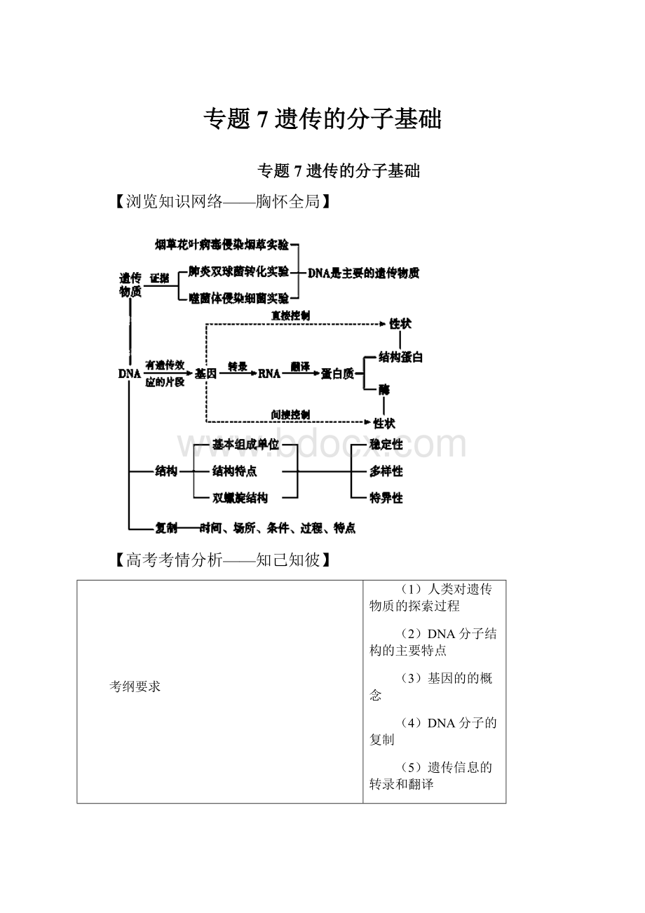 专题7遗传的分子基础.docx_第1页