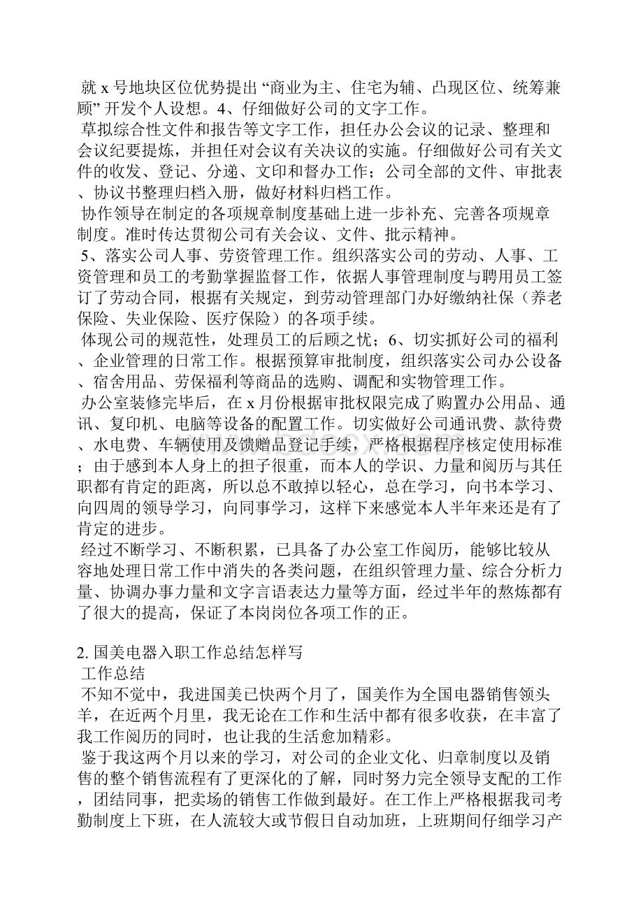 国美试用期工作总结.docx_第2页