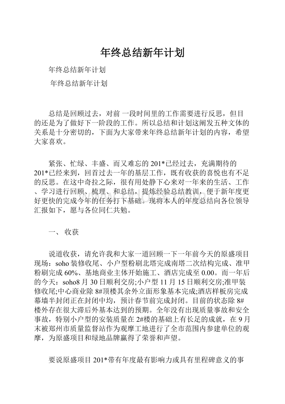 年终总结新年计划.docx_第1页