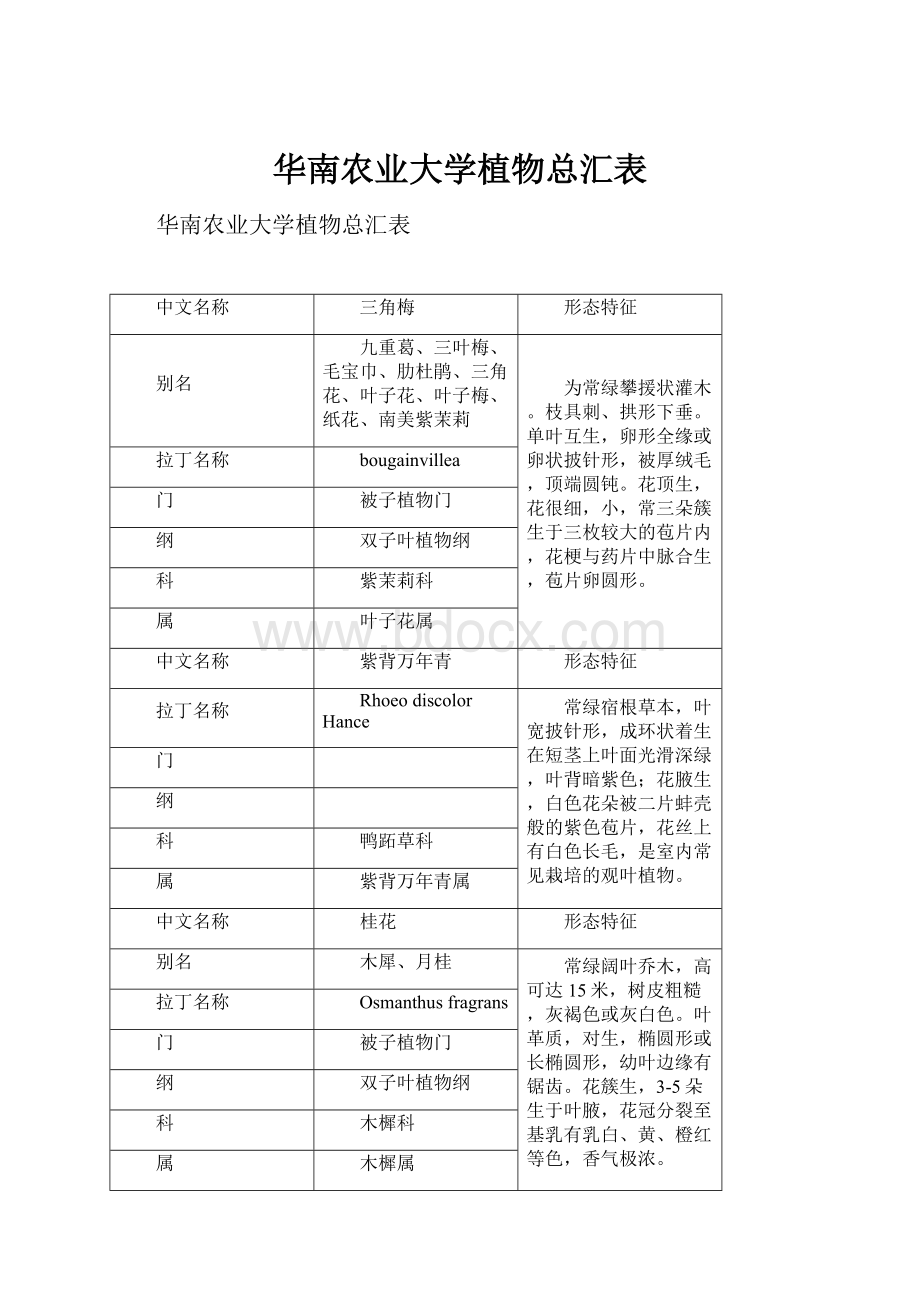 华南农业大学植物总汇表.docx