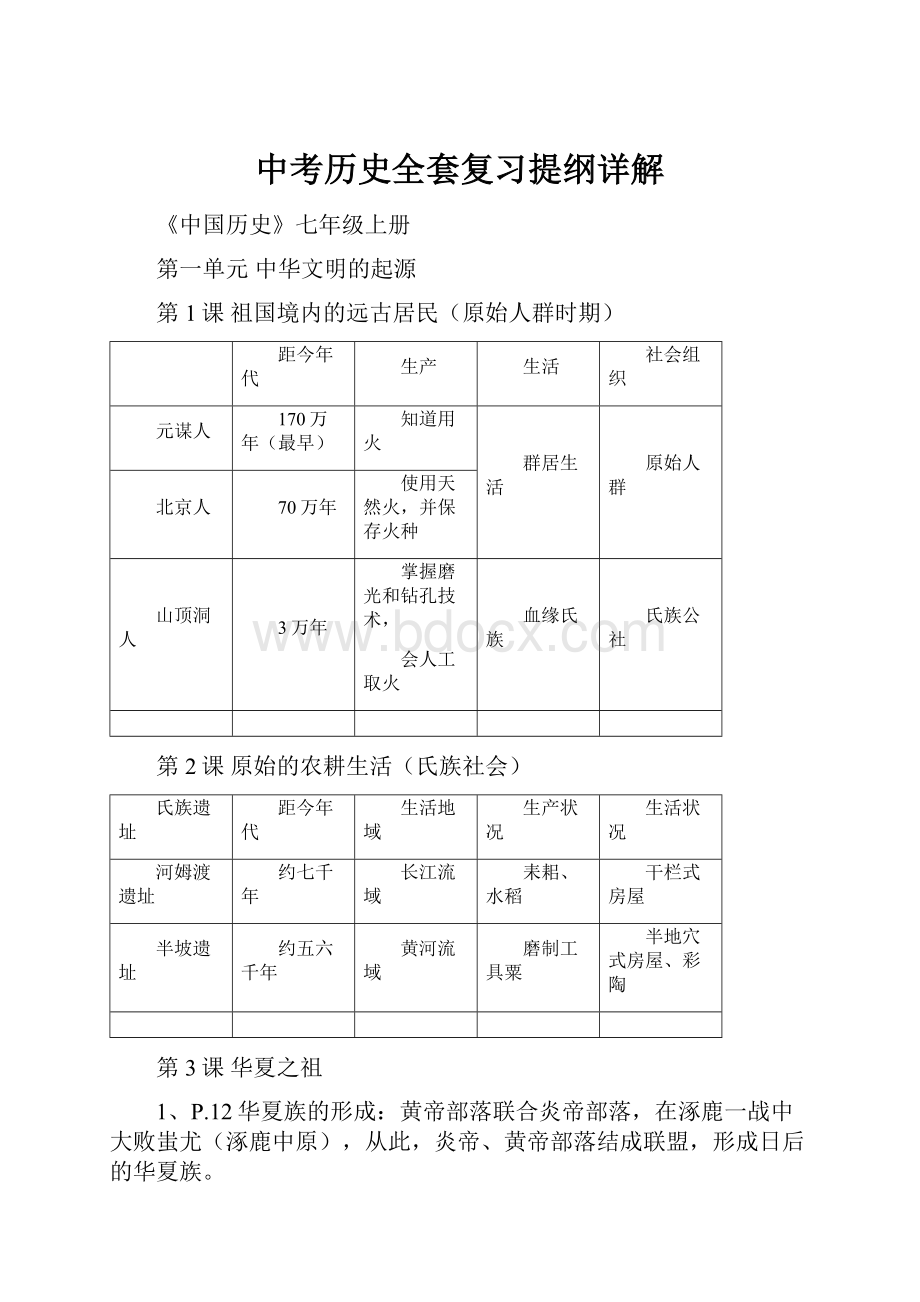 中考历史全套复习提纲详解.docx