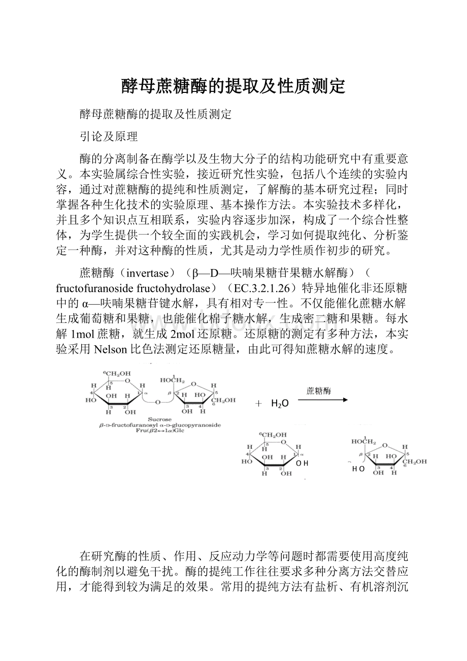 酵母蔗糖酶的提取及性质测定.docx