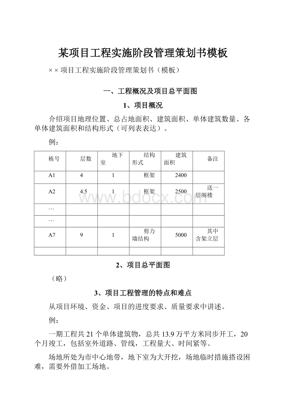 某项目工程实施阶段管理策划书模板.docx