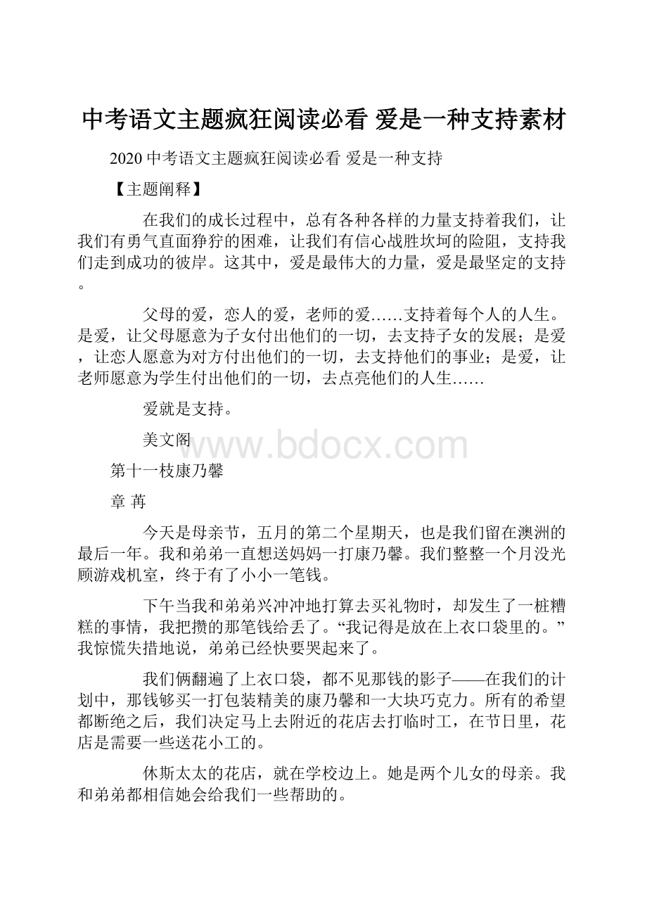 中考语文主题疯狂阅读必看 爱是一种支持素材.docx