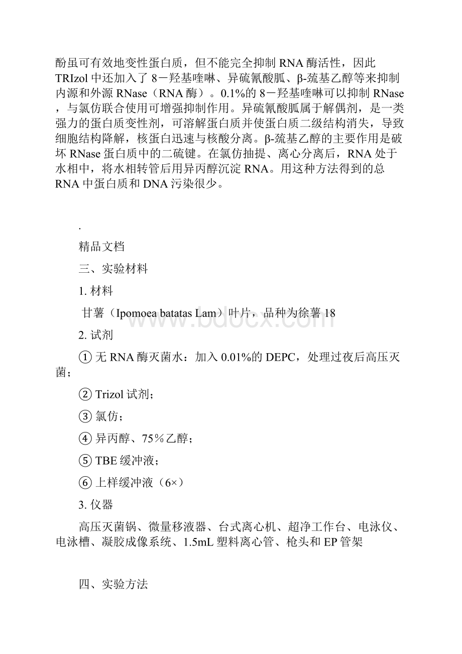 四川大学生物技术综合试验报告学生版.docx_第2页