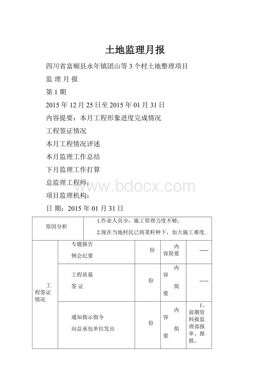 土地监理月报.docx_第1页