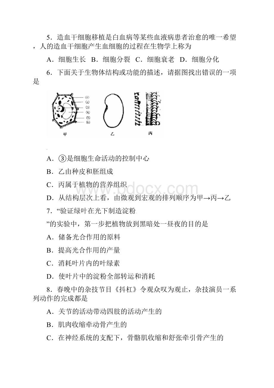 山东省滨州市初中学业水平考试.docx_第2页