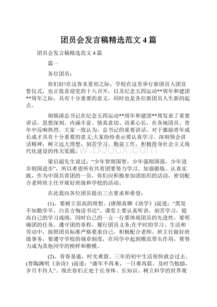 团员会发言稿精选范文4篇.docx