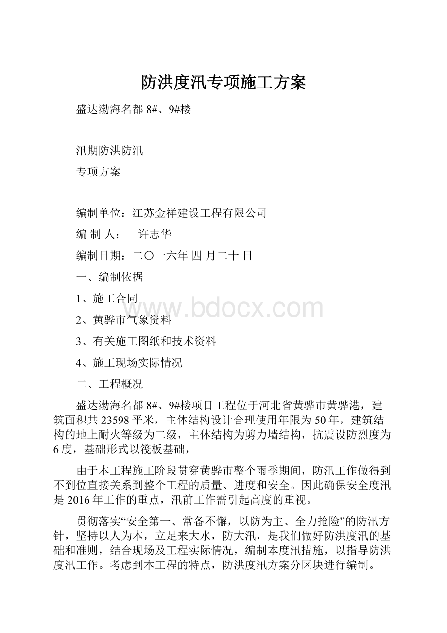 防洪度汛专项施工方案.docx