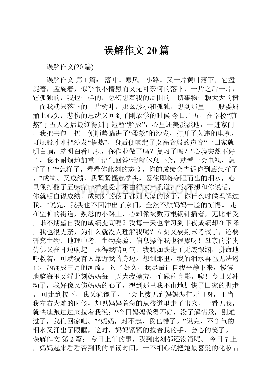 误解作文20篇.docx