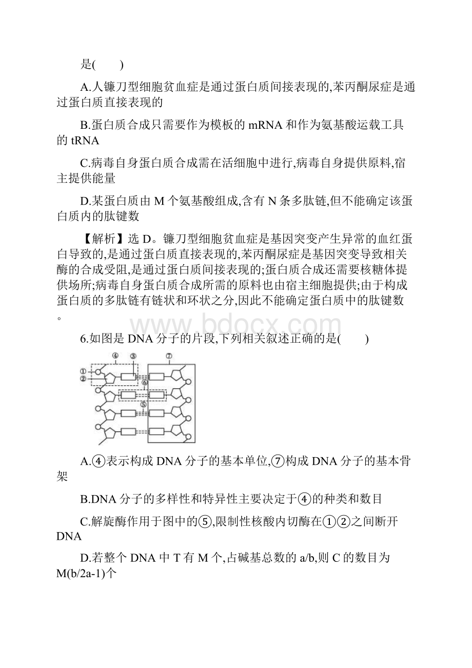 专题6基因的本质与表达.docx_第3页