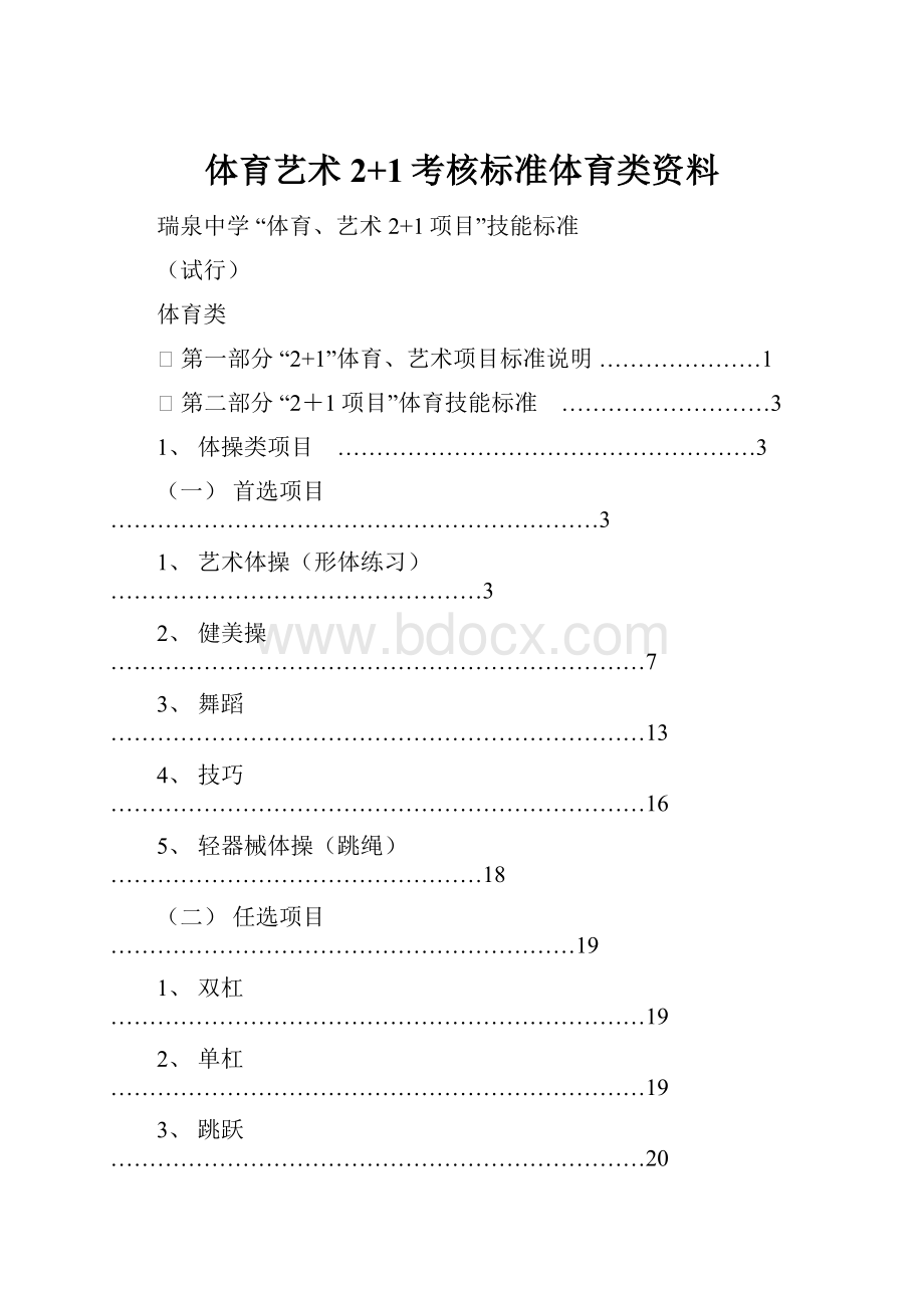 体育艺术2+1考核标准体育类资料.docx