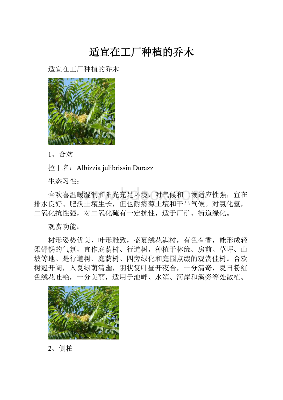 适宜在工厂种植的乔木.docx