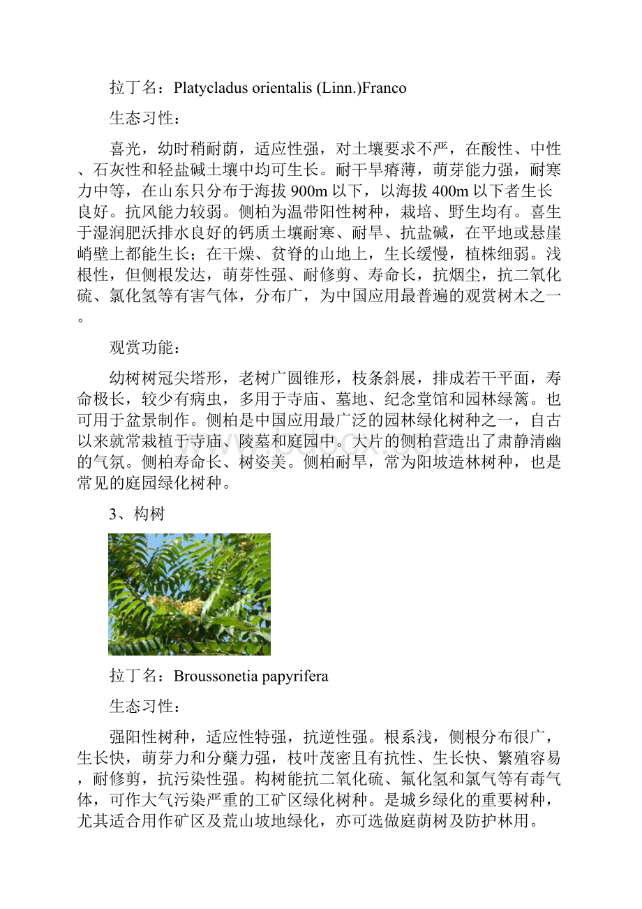 适宜在工厂种植的乔木.docx_第2页