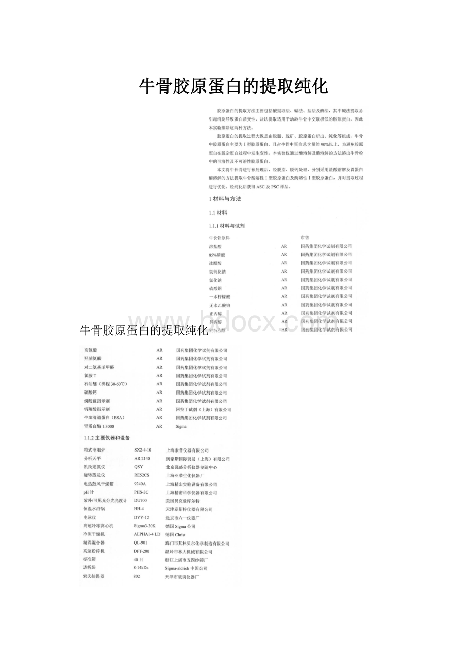 牛骨胶原蛋白的提取纯化.docx_第1页