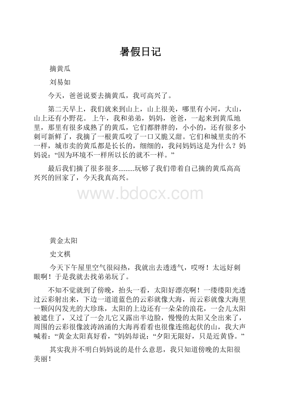 暑假日记.docx