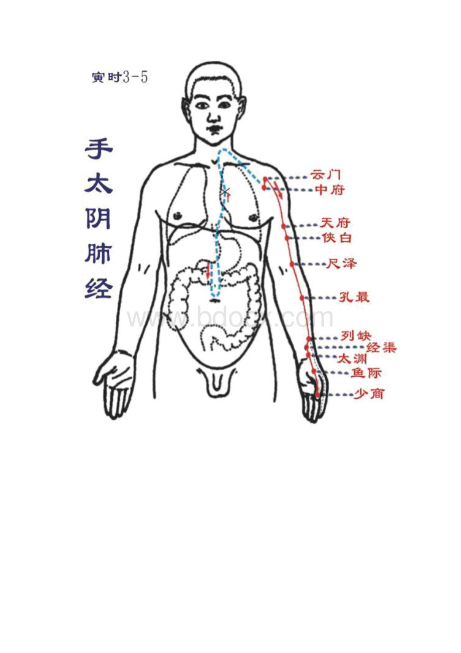 十二经络高清图包含经络穴位.docx_第2页