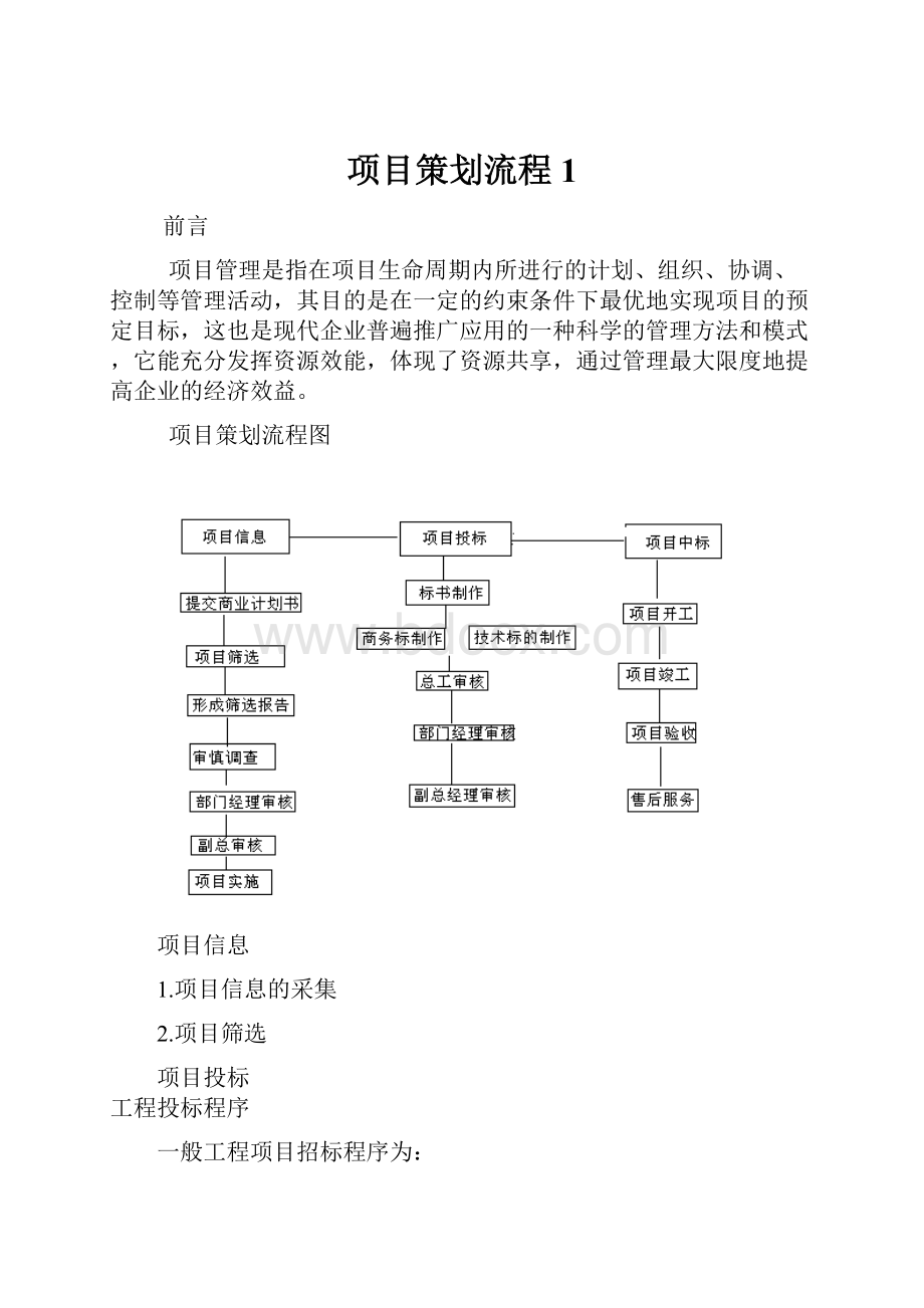 项目策划流程1.docx