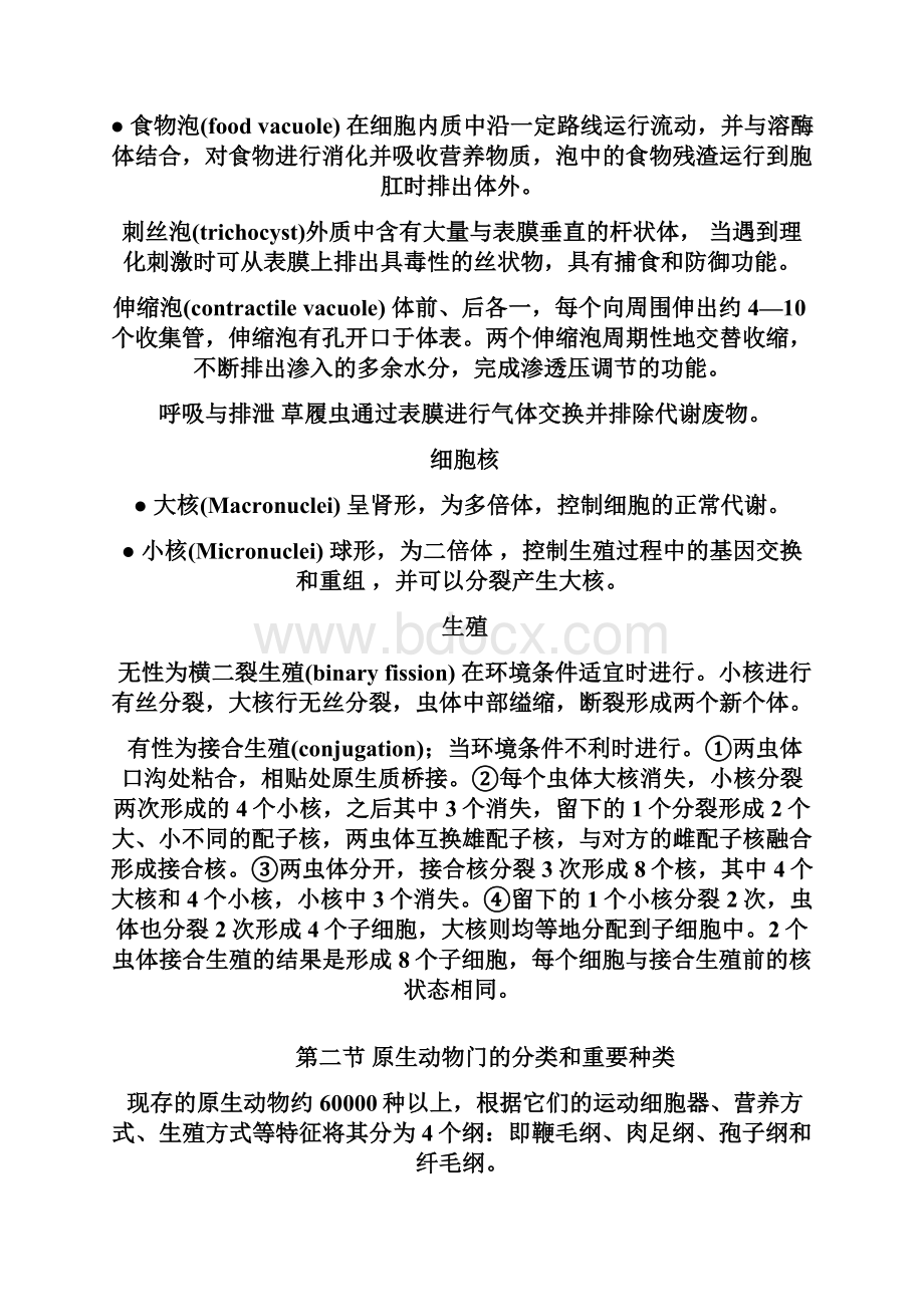 概述与原生动物门教案.docx_第2页